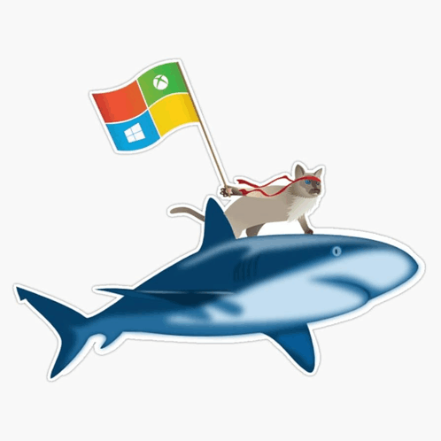 The ninja cat carrying a Microsoft flag while riding a shark