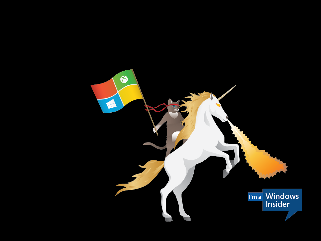Windows Insider Ninja Cat riding a fire-breathing unicorn